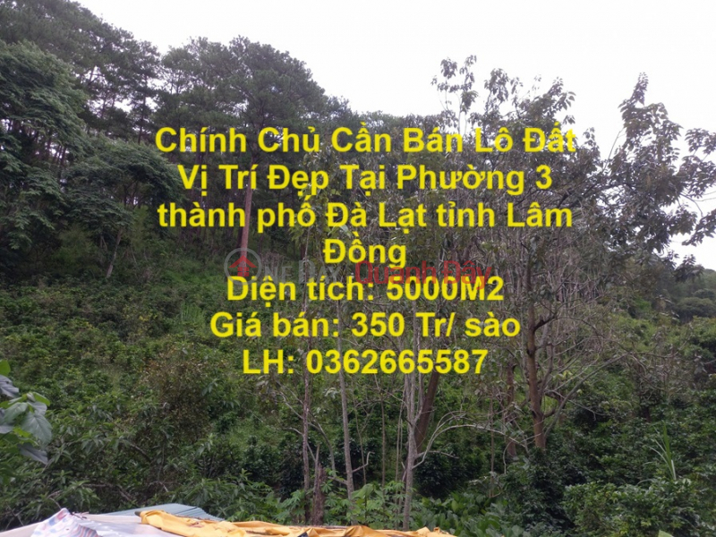 Chính Chủ Cần Bán Lô Đất Vị Trí Đẹp Tại Phường 3 thành phố Đà Lạt tỉnh Lâm Đồng Niêm yết bán