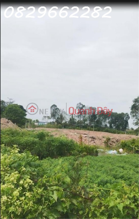 Land with frontage of 100m2 (5x20m) in Sa Dec Ward, Dong Thap. East direction, price only 600 million! _0