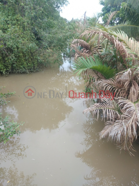 Property Search Vietnam | OneDay | Sales Listings, Shrimp pond for sale in front of the canal, about 17 workers.