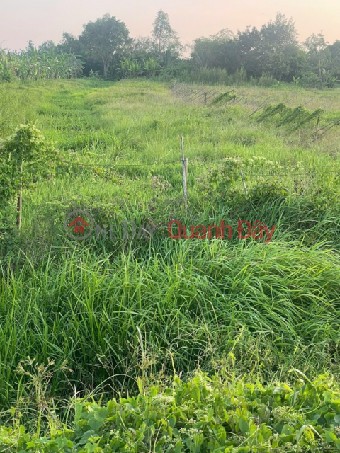 BÁN 3000M2 (15x200) - ĐẤT CÁI RĂNG, TP Cần Thơ - LỘ 91C 40m đang thi công - VIEW Sông gạch Ông Tiêm _0