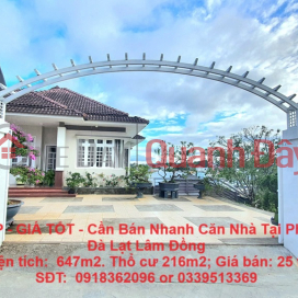 BEAUTIFUL HOUSE - GOOD PRICE - Need to Sell House Quickly in Ward 8, Da Lat, Lam Dong _0