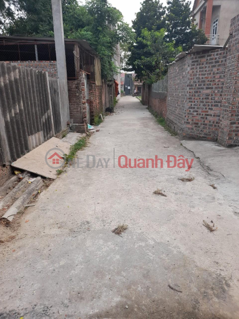 BEAUTIFUL LAND - GOOD PRICE - Urgent sale by owner in Hien Ninh, Soc Son, Hanoi _0