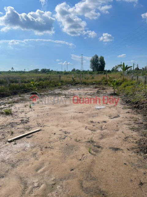 Bán 500m2 Đất Vườn Tại Đường ĐT816, Xã Bình Đức, Huyện Bến Lức, Long An _0