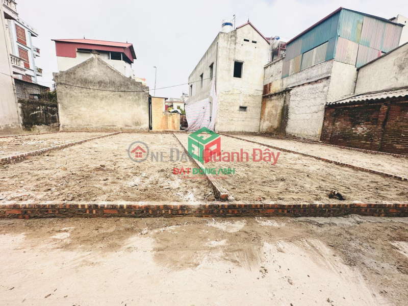 Property Search Vietnam | OneDay | Residential | Sales Listings Thuy Lam Dong Anh land for sale at extremely cheap price, only 800 million