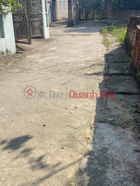 Bán đất thôn Yên Nhân, Tiền Phong, Mê Linh. Lô góc, 3 bước chân tới đường quốc lộ 23, Việt Nam | Bán | đ 2,95 tỷ