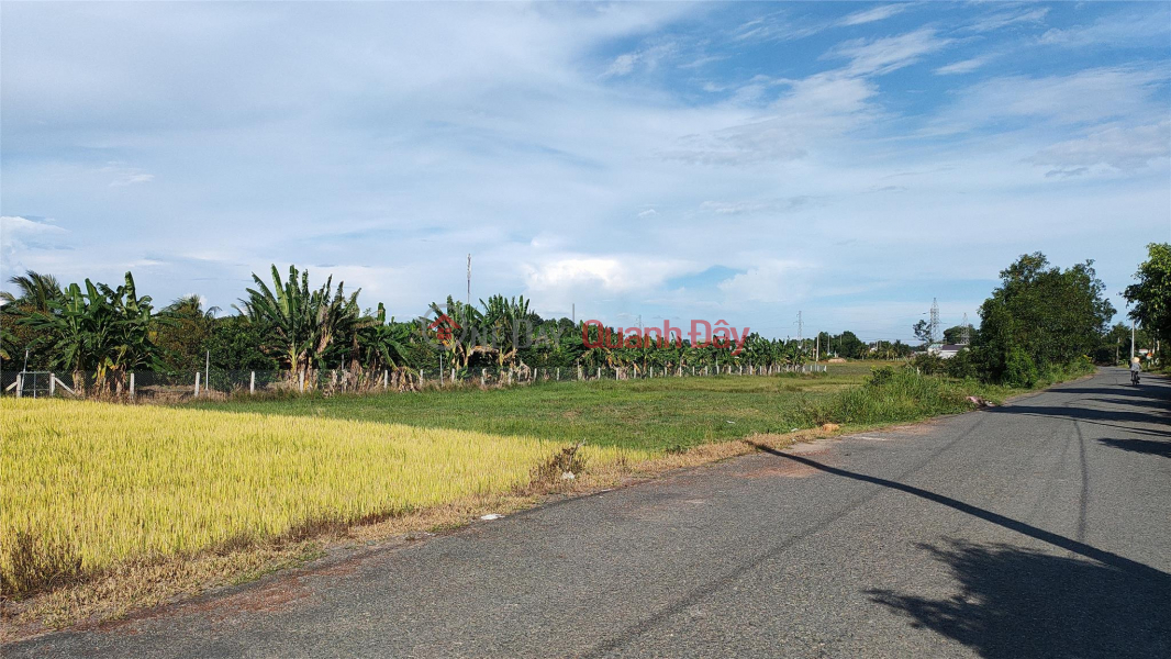 đ 140 Million Buying sample land in Tay Ninh: Prime location, great potential