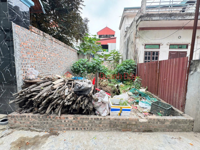 Bán 54m2 đất tổ 8 Quang Minh, gần đường Võ Văn Kiệt, và siêu thị BigC, oto đỗ trong nhà | Việt Nam Bán, đ 3,6 tỷ