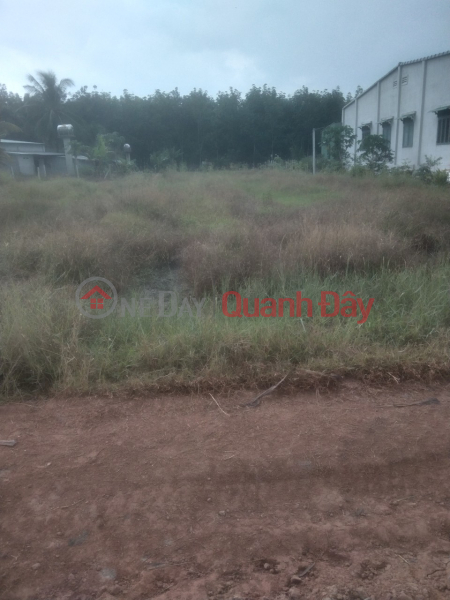 OWNER FOR URGENT SALE OF LAND LOT IN BEAUTIFUL LOCATION In Chau Thanh, Tay Ninh Sales Listings