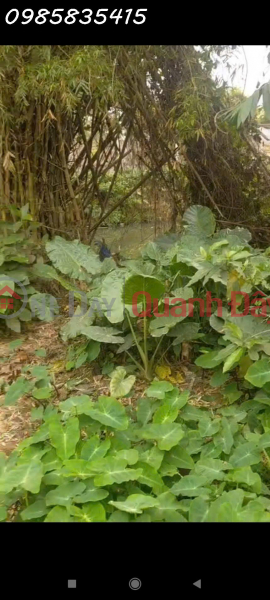 Need money to quickly sell a plot of land over 500m2 used in Ba Trai Commune, Ba Vi, Hanoi, investment price Vietnam, Sales | đ 4.1 Billion