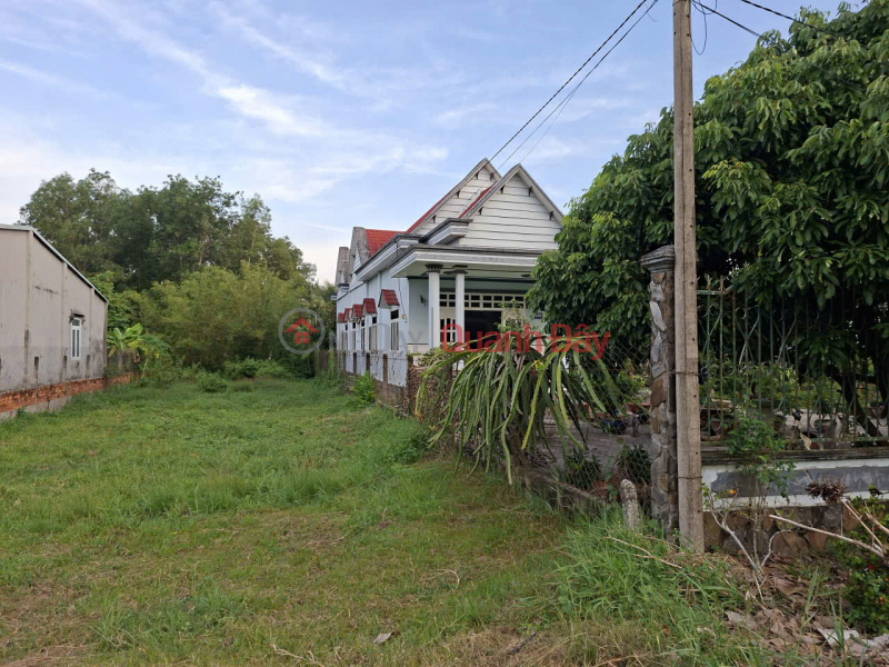 Cần thanh lý gấp đất tại mặt tiền đường Phú Thuận- xã An Nhơn Tây ( trước là Phú Mỹ Hưng, Củ Chi),Hồ Chí Minh | Việt Nam, Bán, đ 7,15 tỷ