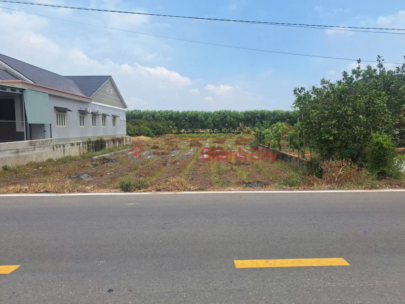 Property Search Vietnam | OneDay | Residential | Sales Listings | OWNER URGENTLY SELLING LARGE PLOT OF PAVED LAND INCLUDING TAXES AND FEES IN LONG CHU CENTER - BEN CAU - TAY NINH