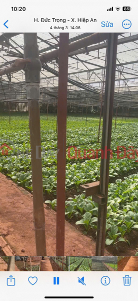 PRICE REDUCTION - SELLING NEARLY 5000M2 HIEP AN - 5 BILLION VND DISCOUNT Sales Listings