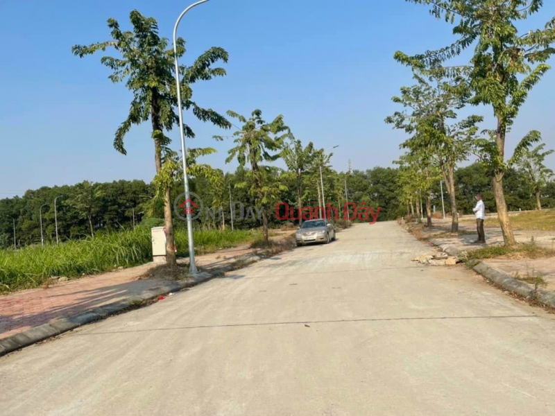 LAND FOR SALE AT AUCTION OF BEO CHUONG MY 107.5M2 Vietnam, Sales, đ 34.7 Billion