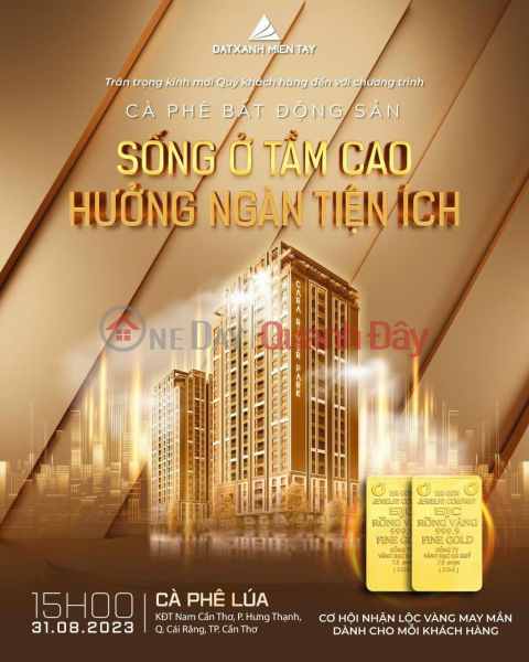 OWN NOW THE CARA - RIER - PARK Luxury Apartment Project Super Nice Location In Cai Rang District - Can Tho City Sales Listings