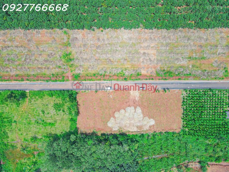 OWNER FOR URGENT SELLING 221.9m2 LOT, READY FOR 100m2 RESIDENCE IN Hon Quan, Binh Phuoc Vietnam Sales | đ 890 Million