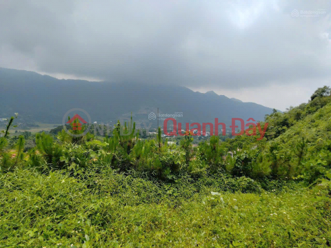 CC sells the most beautiful resort land in Tien Xuan: 20,000m² (residential land, agricultural land, production forest land) only 14.5 billion _0