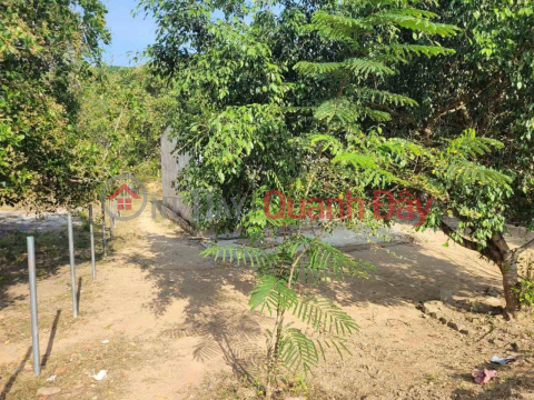 RESIDENTIAL LAND LOT FOR SALE IN DA BAN VILLAGE, CAU BA COMMUNE, KHANH VINH, KHANH HOA _0