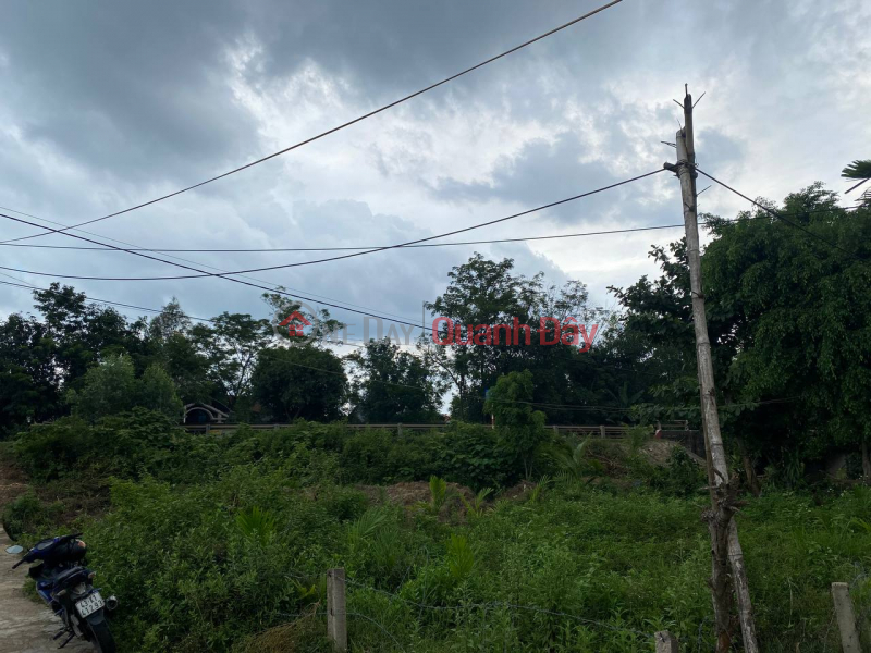 Land for sale in Dai Hiep commune, 500m from Da Nang, price 4xx million Vietnam Sales đ 490 Million