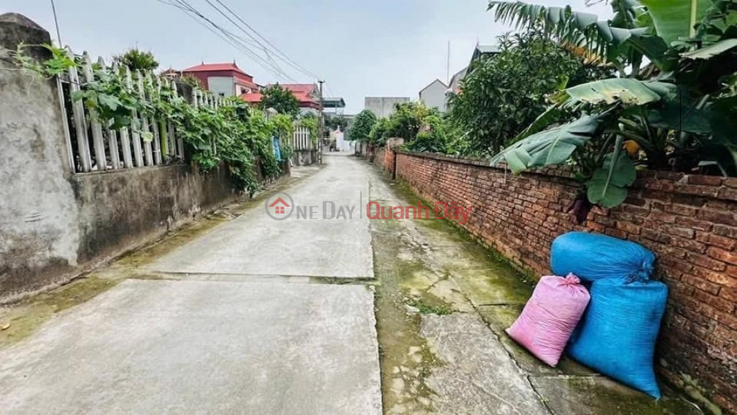 Property Search Vietnam | OneDay | Residential, Sales Listings | Land for sale in Luong Tai, Bac Ninh. 140m2 * frontage 6.8m * 1.75 billion. Corner lot, car access.