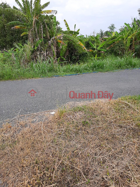 The owner needs to sell a plot of land right in front of the asphalt road, Thuan An Hamlet. _0