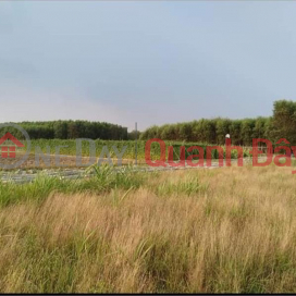 BEAUTIFUL LAND - PROFITABLE INVESTMENT - Owner Needs to Sell Land Lot in Xuan Tam Commune, Xuan Loc, Dong Nai Quickly _0