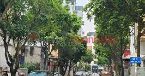 Selling 706m2 of land in Phu Gia, Phu Xa, Phu Thuong, Tay Ho neighborhood, price 65 billion _0