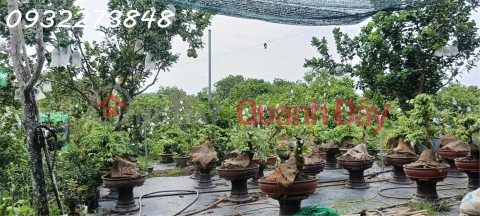 Chính chủ cần bán đất tại ấp Sa Cá, xã Bình An, Long Thành, Đồng Nai _0