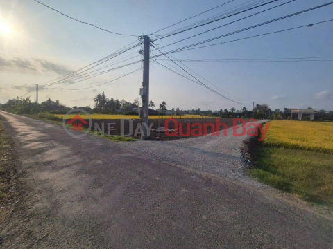 Owner needs to sell land plot in Binh Cach Hamlet, Yen Luong Commune, Go Cong Tay District, Tien Giang Province (formerly). _0