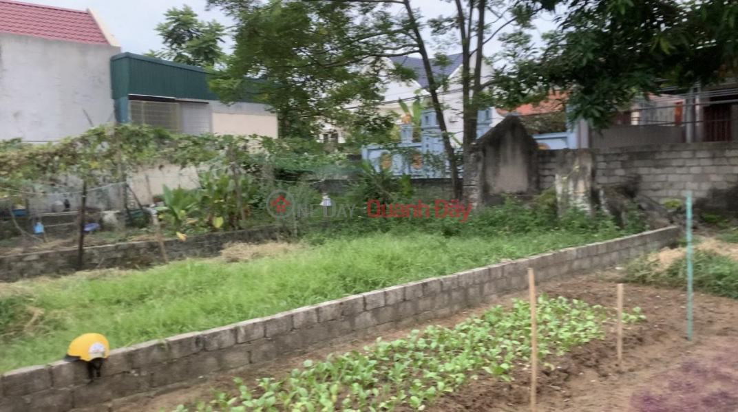 Property Search Vietnam | OneDay | Residential | Sales Listings, BEAUTIFUL LAND - GOOD PRICE - FOR URGENT NEED FOR SALE Land Plot In Sam Son, Thanh Hoa.