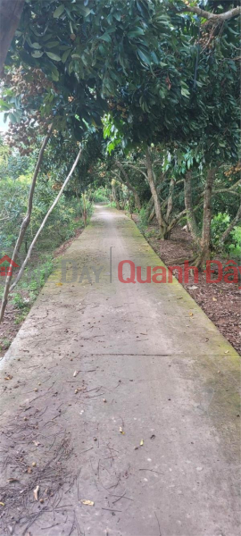 Property Search Vietnam | OneDay | Residential Sales Listings BEAUTIFUL LAND - GOOD PRICE - Land Lot For Sale Prime Location In Hoa Ninh Commune, Long Ho District, Vinh Long