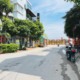 For sale plot of land 87m View flower garden new residential area Hanh Lac, Nhu Quynh, Van Lam _0