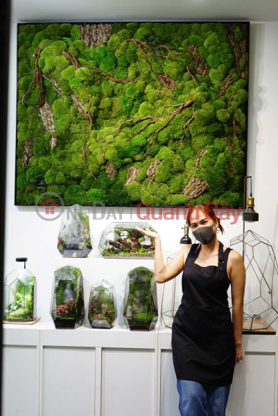 Le Jardin Terrarium - Shop uy tín tại HCM, 37 Hoa Mai (Le Jardin Terrarium - Prestigious shop in HCM, 37 Hoa Mai) Phú Nhuận | ()(2)