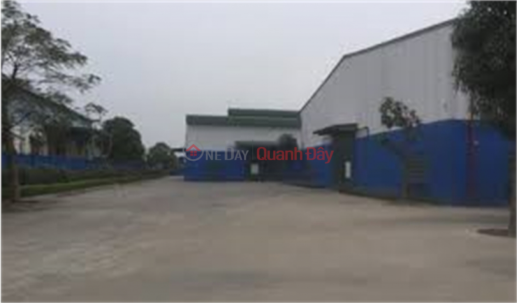 đ 35 Million | Selling 3,000m2 of land for warehouse and workshop 50 at Phu Thi Industrial Complex, Gia Lam District, Hanoi.