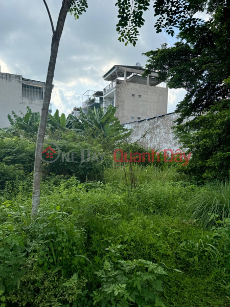 Super Rare Land for Sale in District 9! Villa land at extremely cheap price right in Lien Phuong, 450m2, price only 17.5 billion negotiable, Vietnam Sales | đ 17.5 Billion