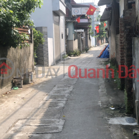 Insolvent, need to urgently sell plot of land 47.1m2, Cho Sa village, Co Loa, Dong Anh, Hanoi, morning bus route, price only a few billion _0