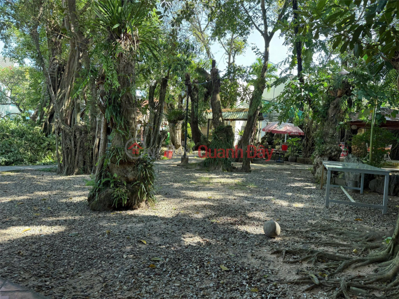 Property Search Vietnam | OneDay | Residential Sales Listings Selling 1100m² Chu Van An Frontage - Beautiful Land, Private Certificate, Reasonable Price