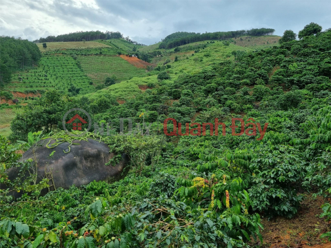 Chính Chủ Cần Bán Lô Đất Vị Trí Đẹp Tại Xã Phi Tô,Lâm Hà, Lâm Đồng _0