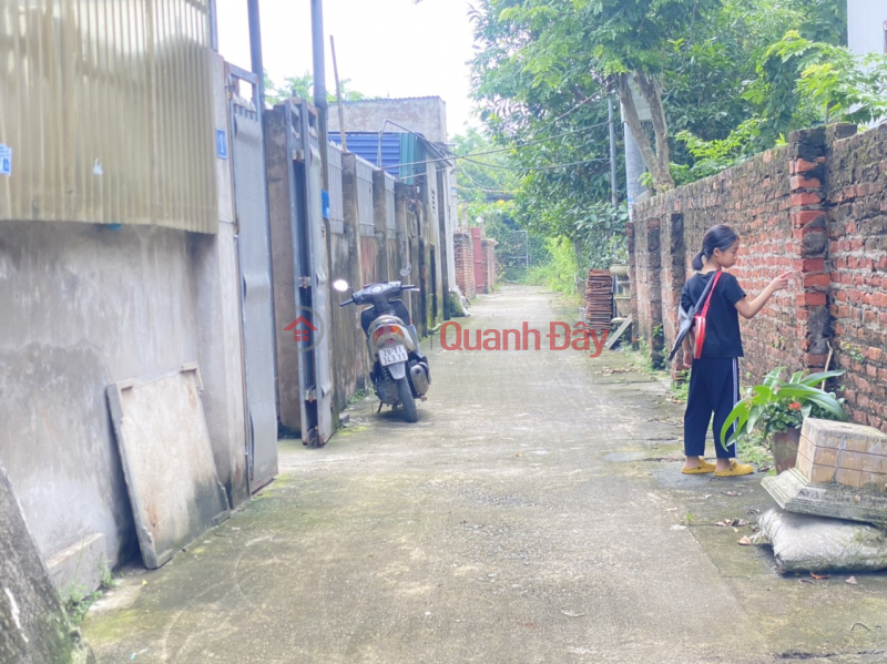 Property Search Vietnam | OneDay | Residential Sales Listings, The land inside the Dong Mai dike - the alley in front of the land where cars are parked is just over billion