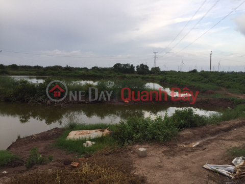 Shrimp pond land for sale includes: 35 workers. Price: 85 million/person. _0