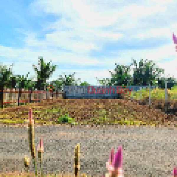 Property Search Vietnam | OneDay | Sales Listings “Land for sale near Hồ Tràm beach, Xuyên Mộc, Bà Rịa - Vũng Tàu Province - 10x35 - 100% ownership. Check it out now!”