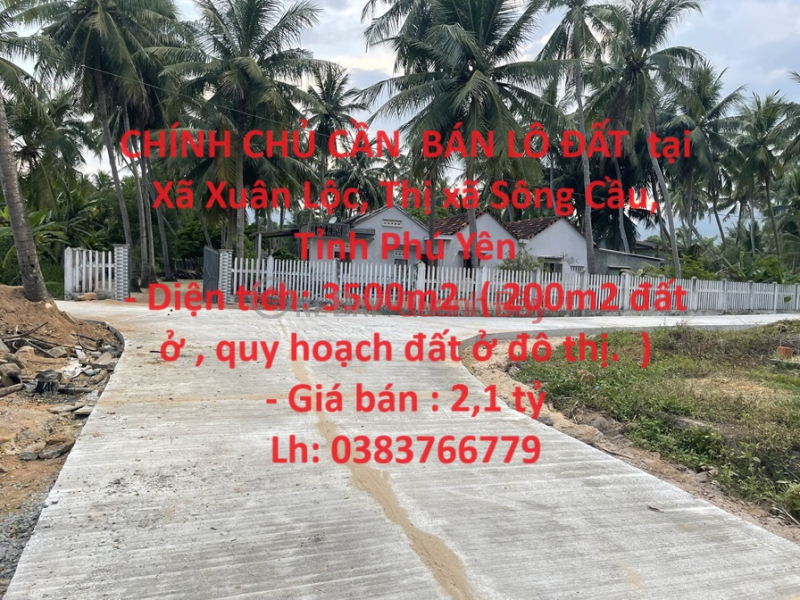 OWNER NEEDS TO SELL LAND LOT at Xuan Loc - Song Cau Town - Phu Yen Province Sales Listings