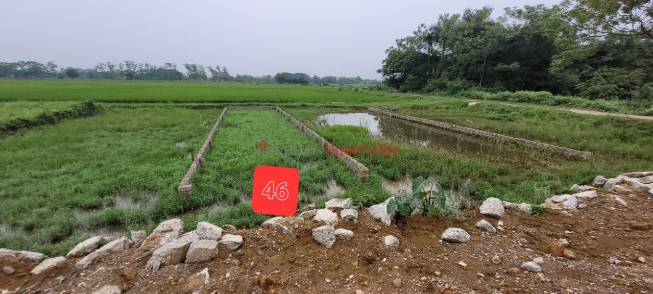 LAND LOT FOR SALE AT TRUNG ME, THUAN LUONG VILLAGE, HOAN VAN THU COMMUNE, CHUONG MY, HANOI. Vietnam, Sales, đ 1.7 Billion