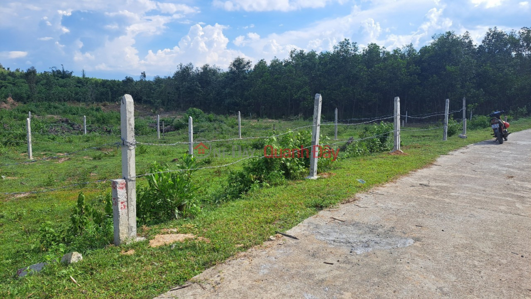 Property Search Vietnam | OneDay | Residential | Sales Listings, The owner needs to wholesale a full residential land plot divided into 3 lots in Khanh Binh, Khanh Vinh