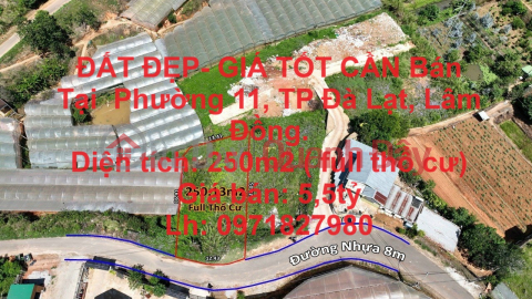 ĐẤT ĐẸP- GIÁ TỐT CẦN Bán Tại Phường 11 ,TP Đà Lạt ,Lâm Đồng _0