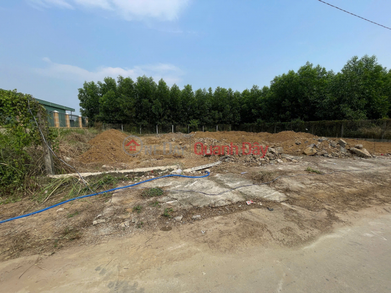 Selling 2 plots of land opposite Binh Loi resettlement area Vietnam | Sales | đ 1.39 Billion