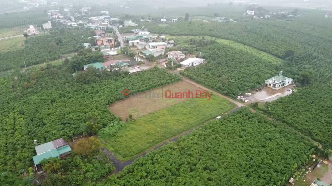 Property Search Vietnam | OneDay | Residential, Sales Listings, Land for sale in Lam Lam District at the same price of 439 million