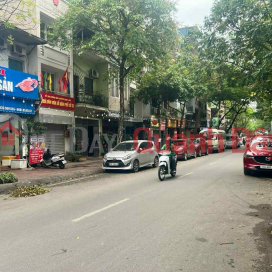 House on Long Bien street, 54m x 5 floors, elevator, sidewalk, car parking, business day and night _0