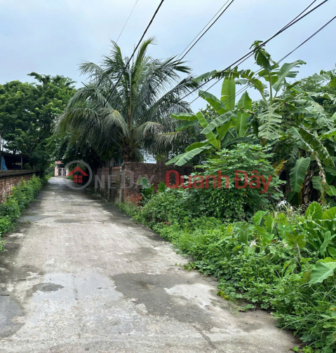 Land for sale in Duc Nhuan Da Trach, area 99.5m, frontage 5.56m, expanding back, investment price _0