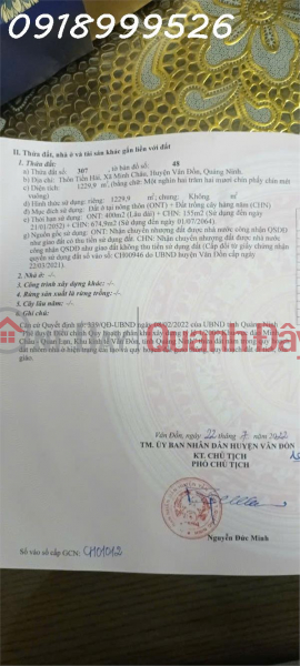 Need money to quickly sell a super nice plot of land with a 32m wide frontage in Minh Chau Commune, Quang Ninh, investment price Sales Listings