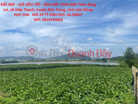 ĐẤT ĐẸP - GIÁ SIÊU TỐT - BÁN ĐẤT VIEW ĐẸP ĐỨC TRỌNG – LÂM ĐỒNG - Hơn 1Ha- GIÁ 24 TỶ _0